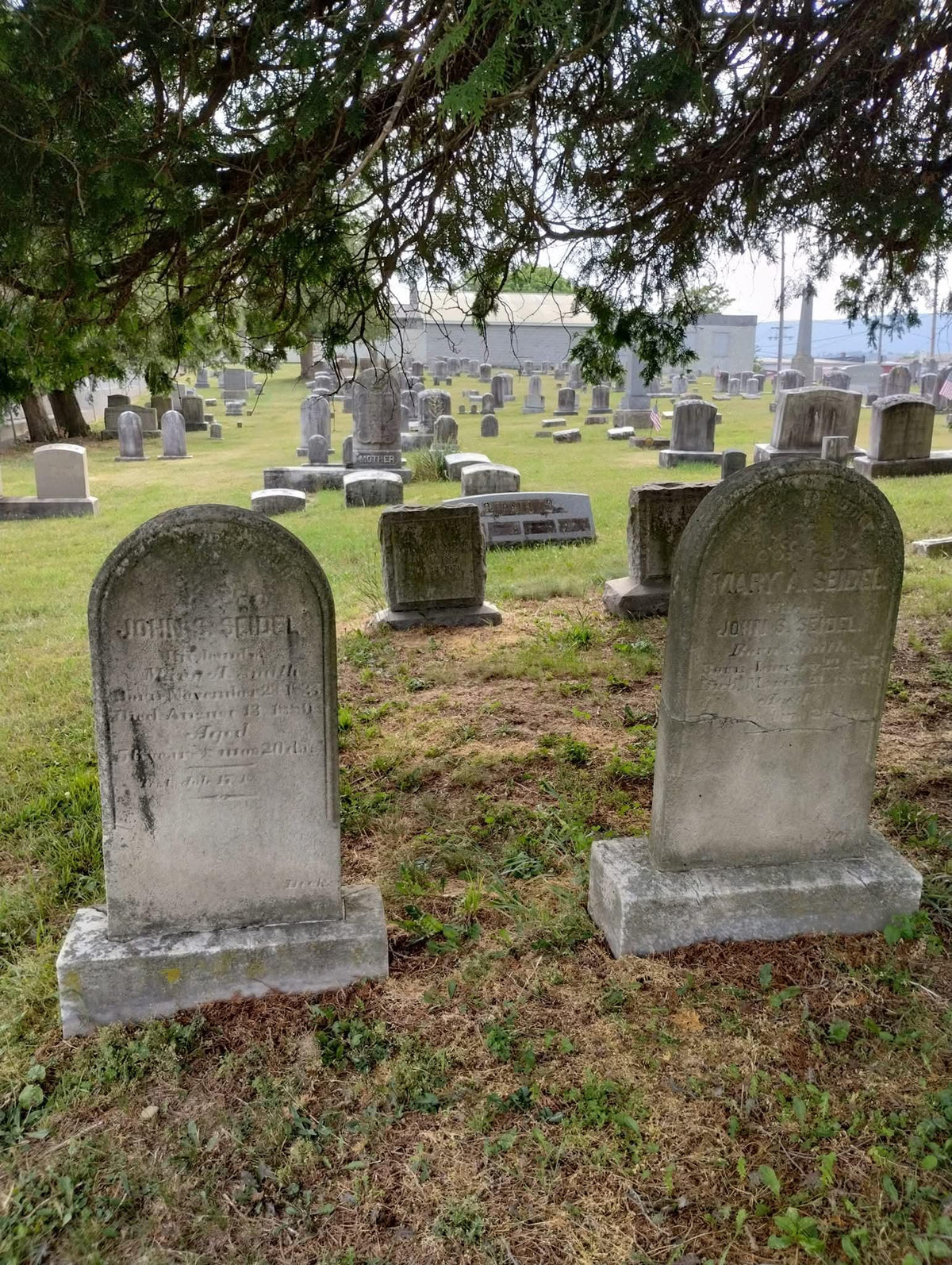 Graveyard Dirt • Ritually & Respectfully Collected