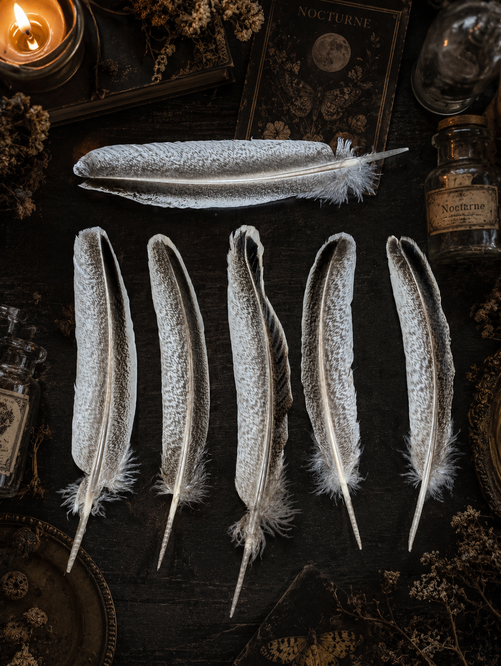 Natural Wild Turkey Feather 12" • Smudging Feather, Spiritual Tool, Altar Decor, Energy Cleansing, Ritual Feather