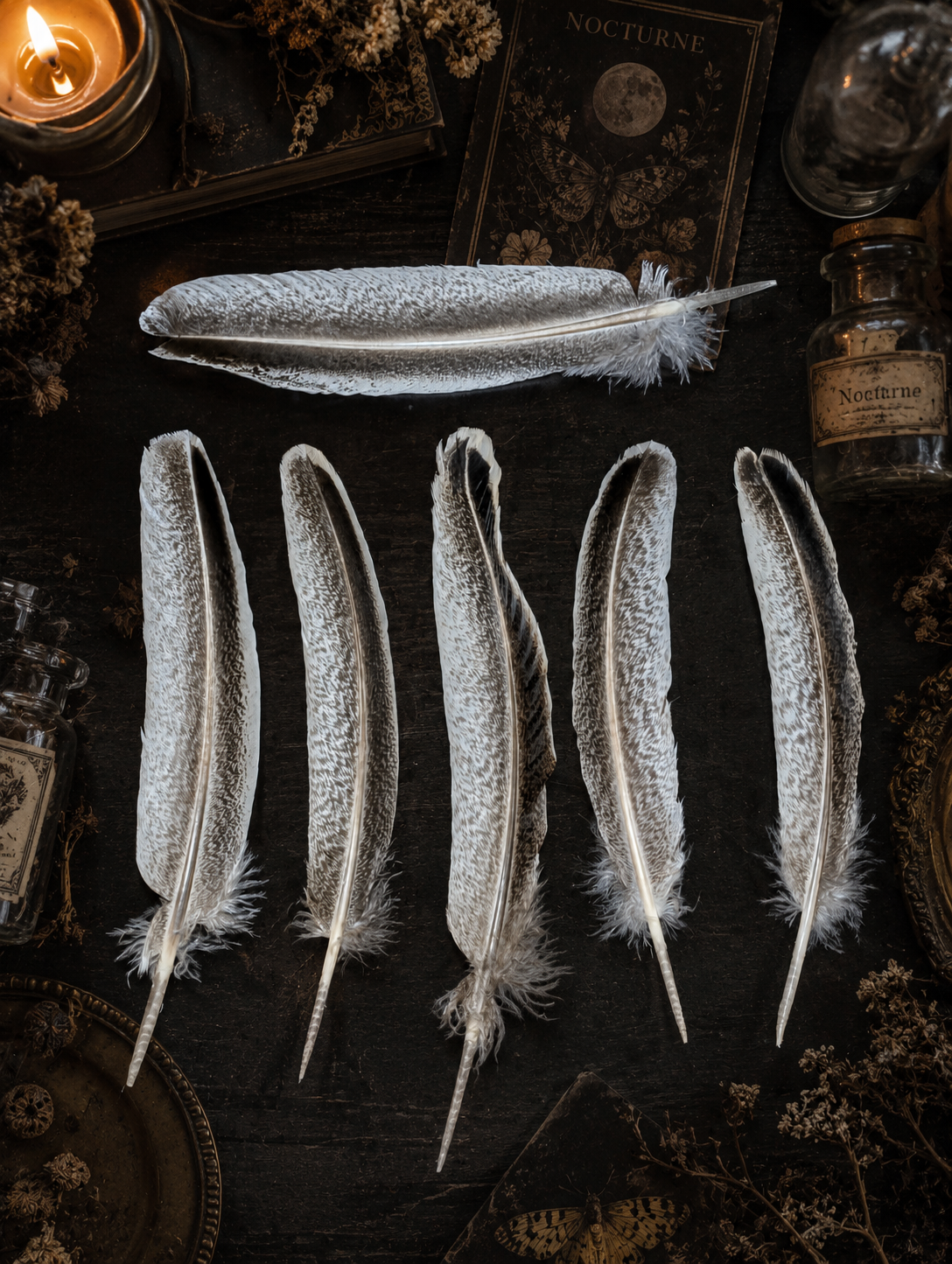 Natural Wild Turkey Feather 12" • Smudging Feather, Spiritual Tool, Altar Decor, Energy Cleansing, Ritual Feather