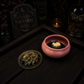 Ceramic Incense Burner Bowl with Lid • Charcoal Resin & Herb Burner • Altar Decor • Offering Bowl