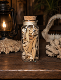 Shark Teeth & Bone Curio Bottle • Ocean Magic Altar Curio • Protection and Strength • Natural Shark Teeth Collection